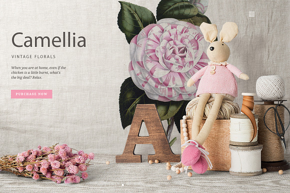 Camellia Pink Flowers in Illustrations - product preview 1
