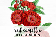red camellias Vintage Florals