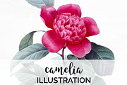 camelia Vintage Florals