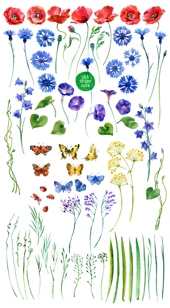 watercolor wildflower in Illustrations - product preview 2