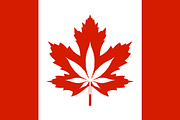 Legalization Cannabis Hemp on Canada