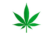 Green Cannabis or Marijuana Leaf