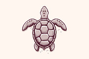Sea Turtle Sketch