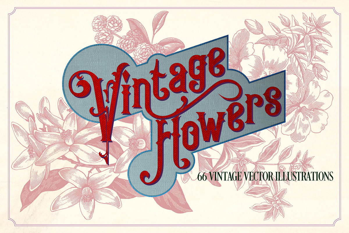 Vintage Flowers in Graphics - product preview 8