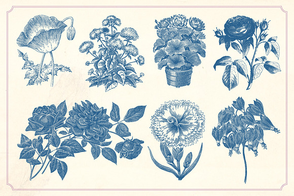 Vintage Flowers in Graphics - product preview 1