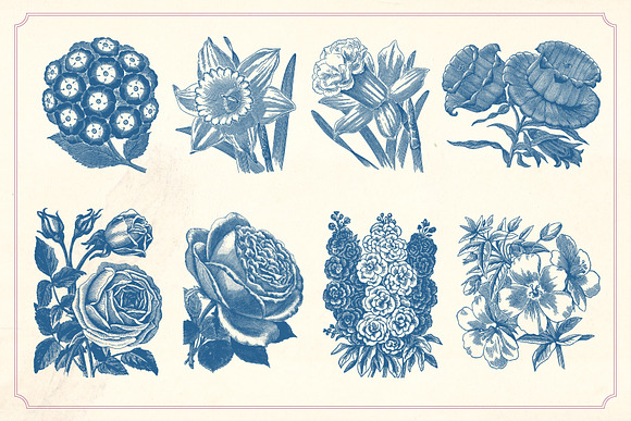 Vintage Flowers in Graphics - product preview 2