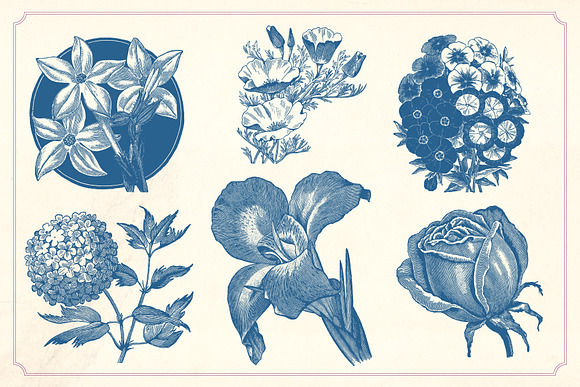 Vintage Flowers in Graphics - product preview 3