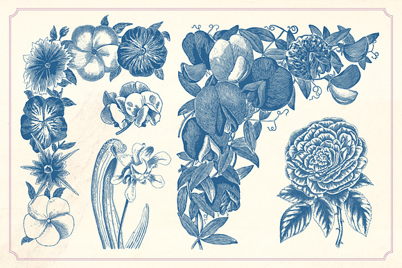 Vintage Flowers in Graphics - product preview 4