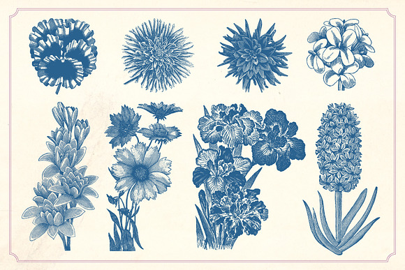 Vintage Flowers in Graphics - product preview 5