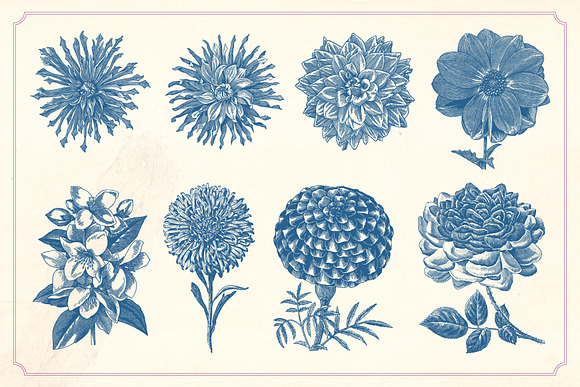 Vintage Flowers in Graphics - product preview 6