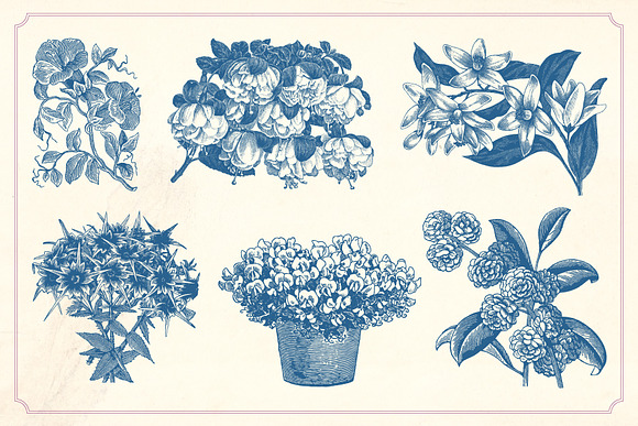 Vintage Flowers in Graphics - product preview 7