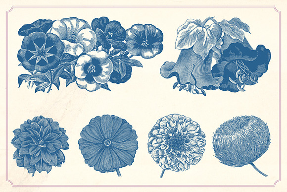 Vintage Flowers in Graphics - product preview 8