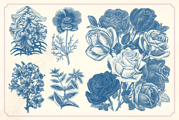 Vintage Flowers in Graphics - product preview 10