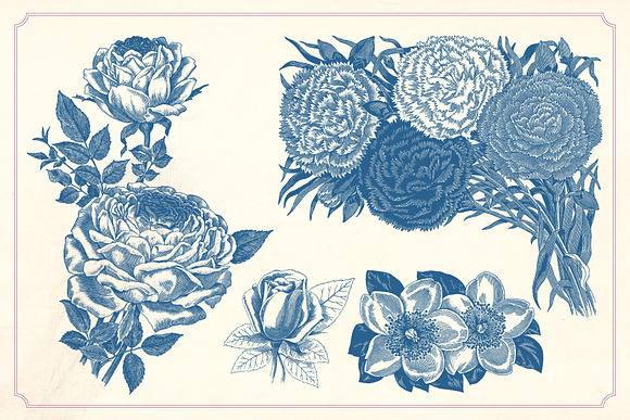 Vintage Flowers in Graphics - product preview 11