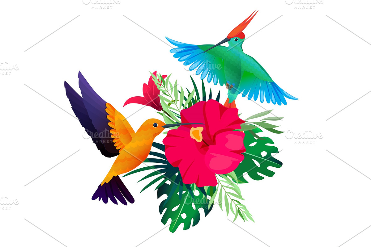 Tropical birds plants. Exotic in Graphics - product preview 8