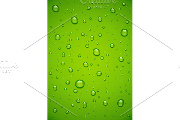 Water drop at green background.