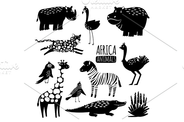 Black and white exotic animals