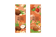 Nut vector nutshell of hazelnut