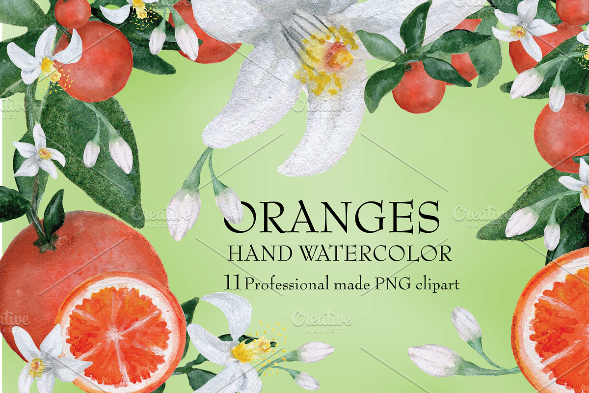 Watercolor Oranges with flower/leafs in Illustrations - product preview 8