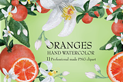 Watercolor Oranges with flower/leafs