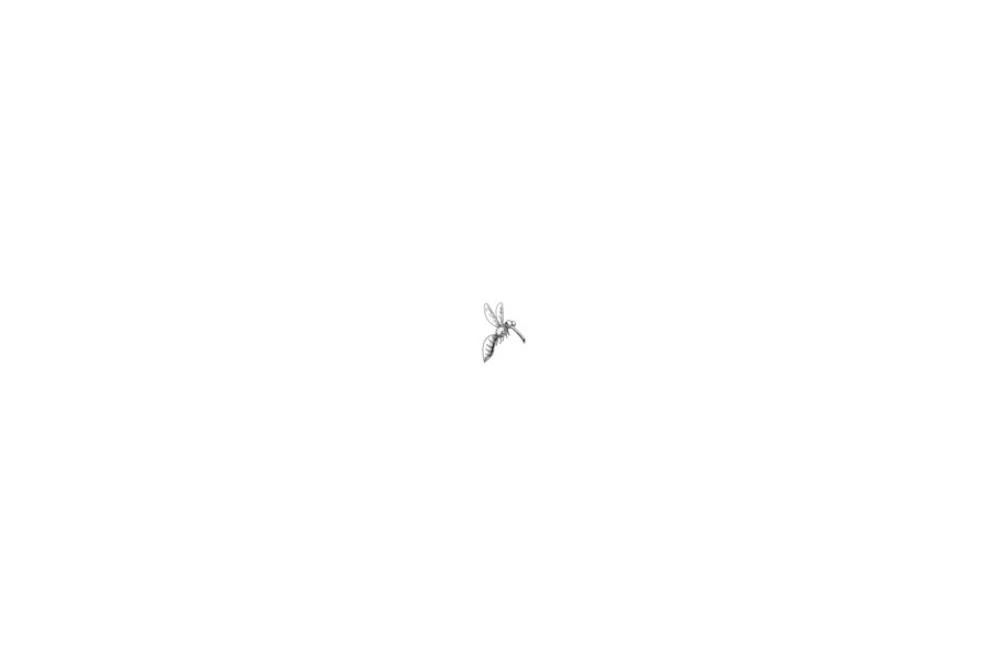Animation Mosquito Flying Cartoon 2D
