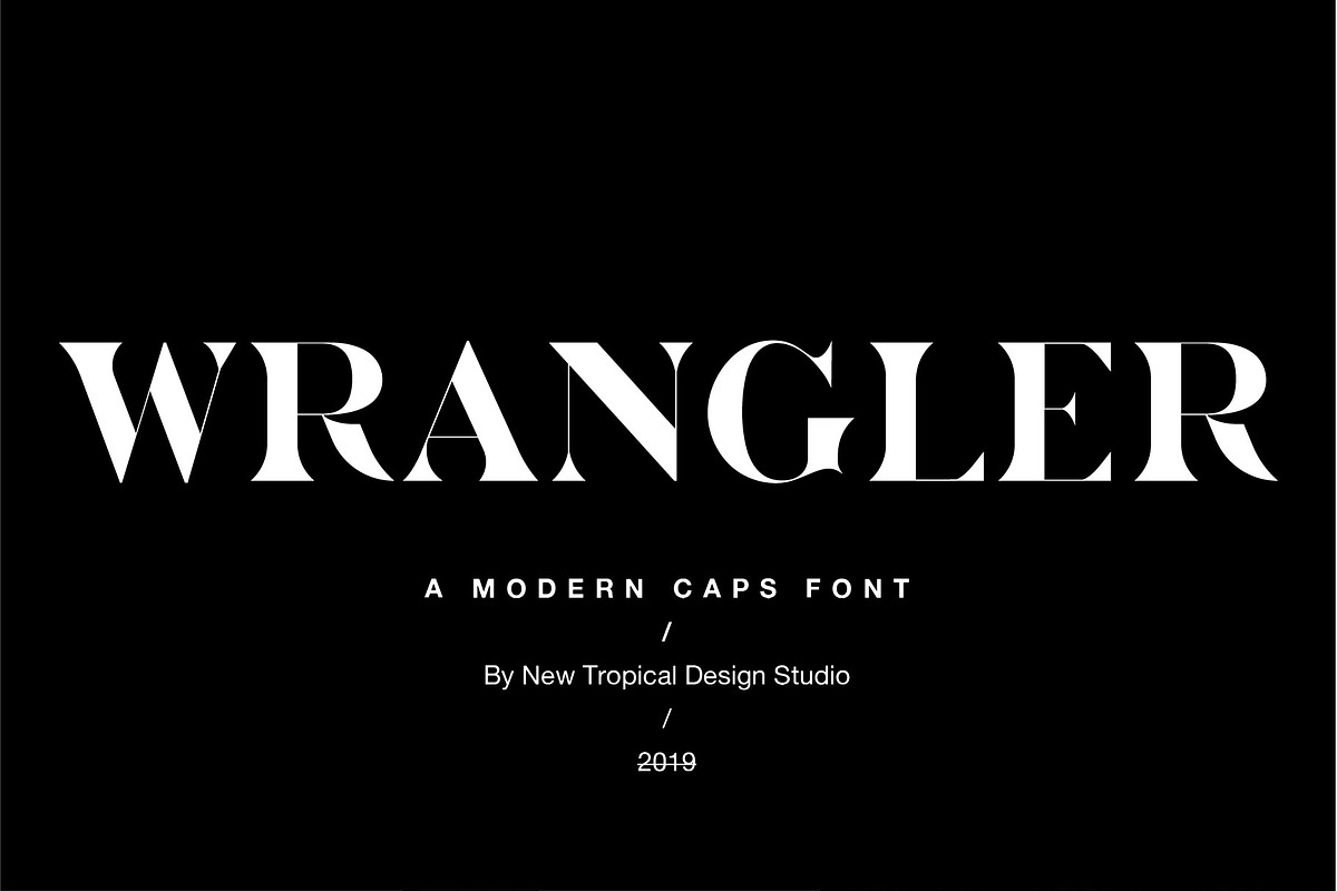 Wrangler - Modern Fashion Caps Font in Serif Fonts - product preview 8