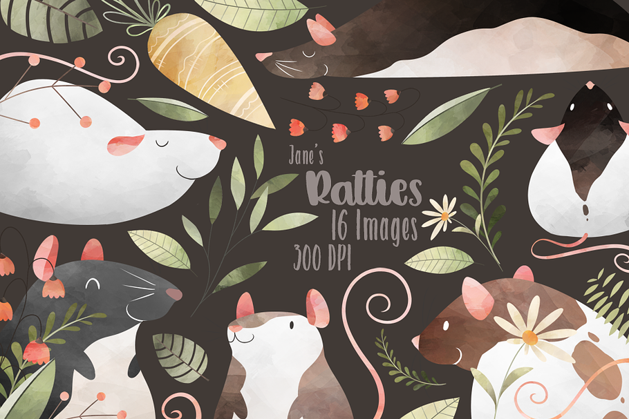 Watercolor Rats Clipart in Illustrations - product preview 8