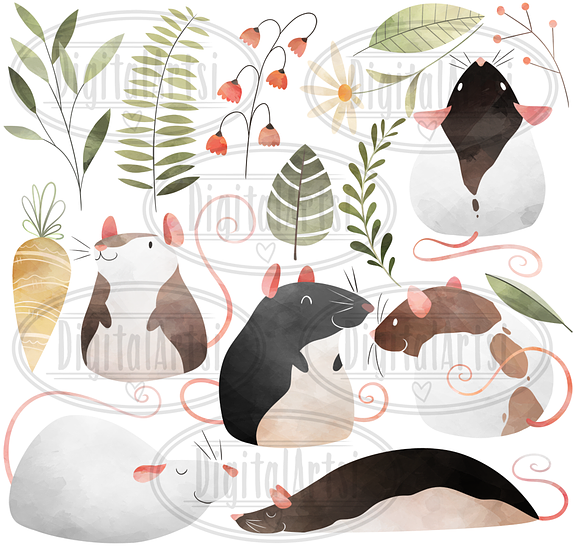 Watercolor Rats Clipart in Illustrations - product preview 1