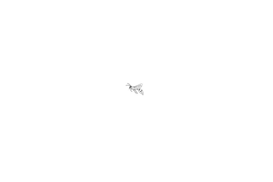  Animation Wasp Flying Drawing 2D