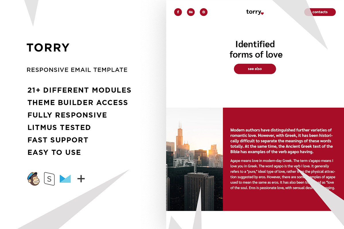 Torry – Responsive Email template in Mailchimp Templates - product preview 8