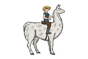 Child ride on llama color engraving