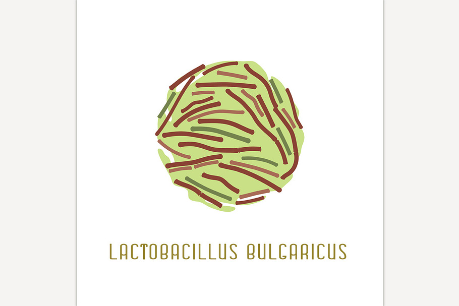 Lactobacillus Bulgaricus Image in Icons - product preview 8