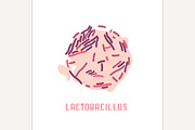 Lactobacillus Colony Image