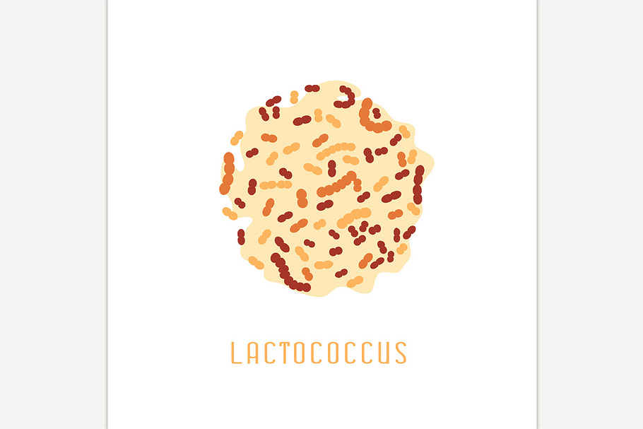 Lactobacillus acidophilus image in Icons - product preview 8