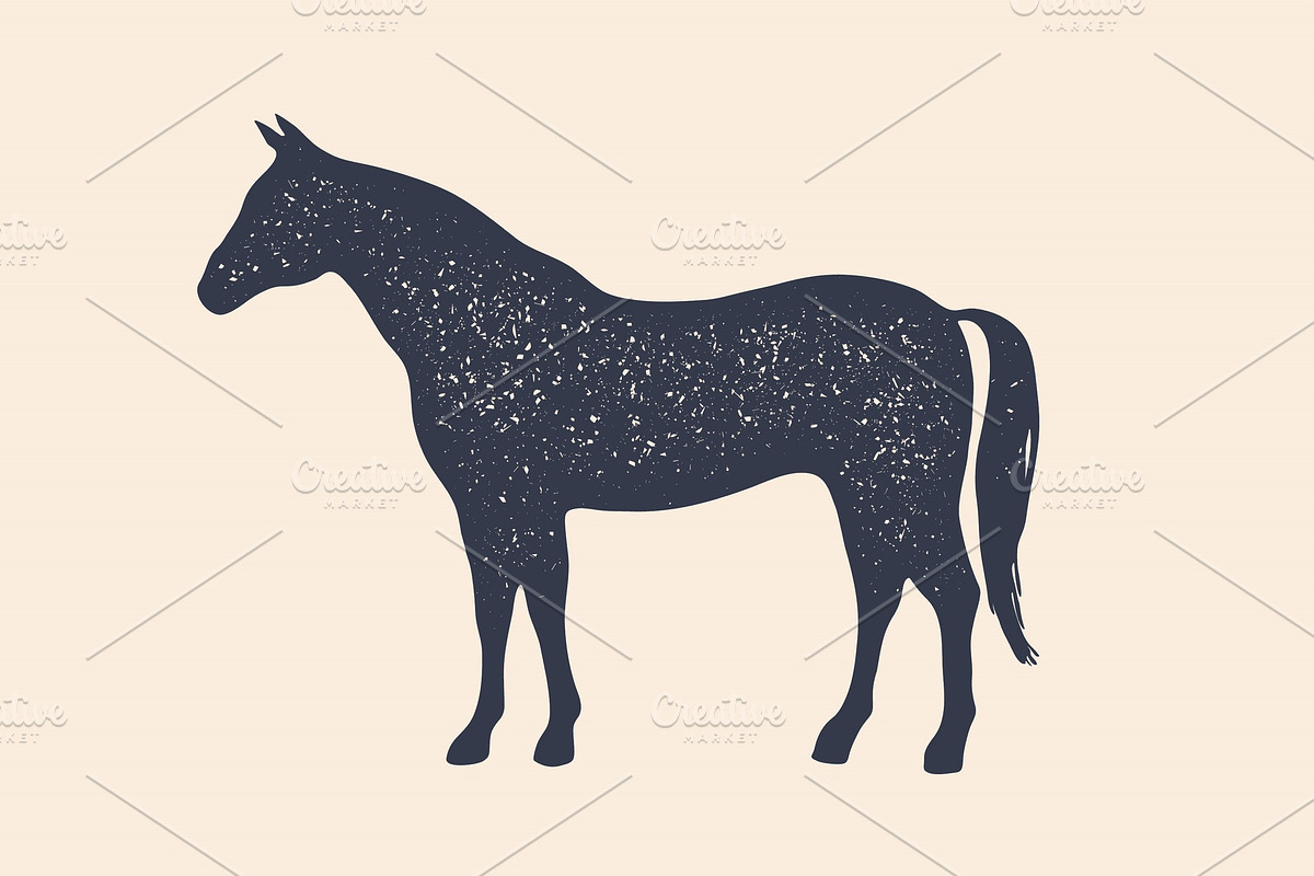 Horse, stallion. Concept design of in Illustrations - product preview 8