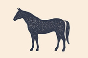 Horse, stallion. Concept design of