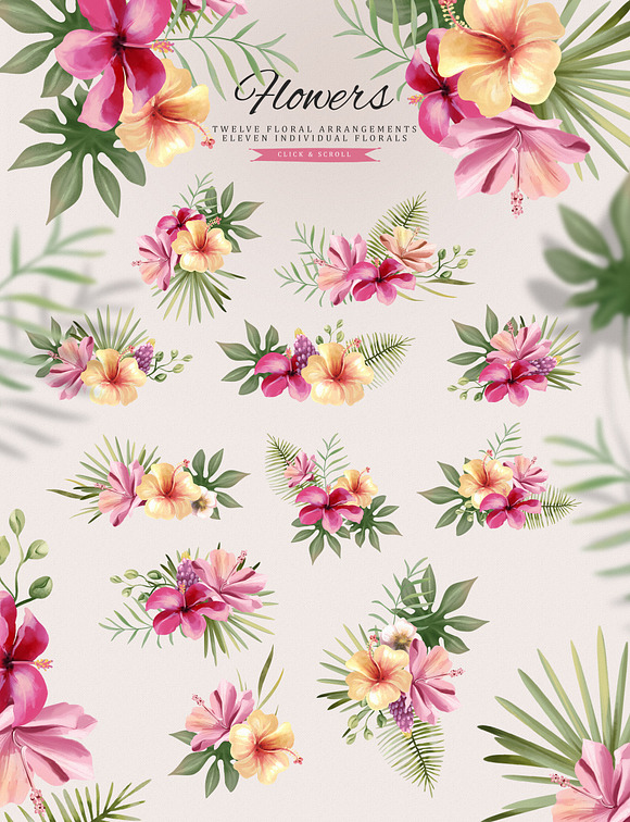 Tropical Princess Collection in Illustrations - product preview 7