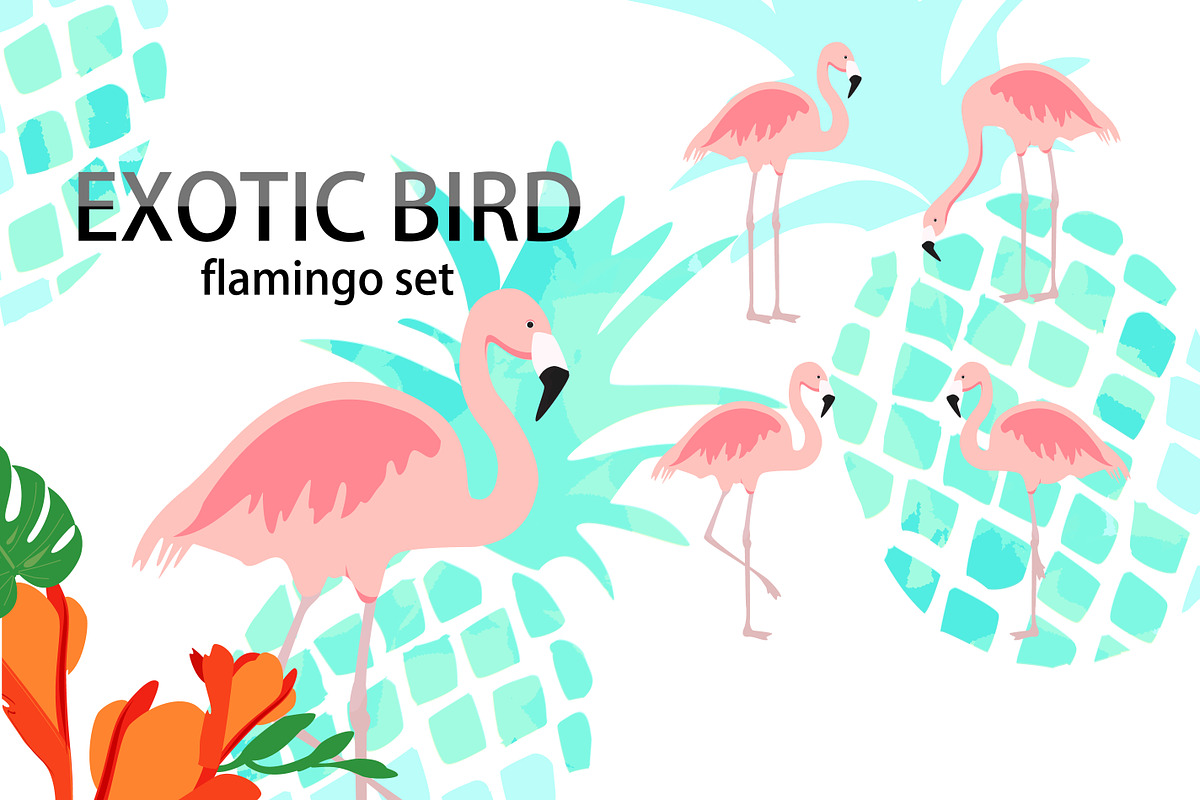 Exotic bird flamingo collection in Illustrations - product preview 8