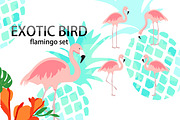 Exotic bird flamingo collection