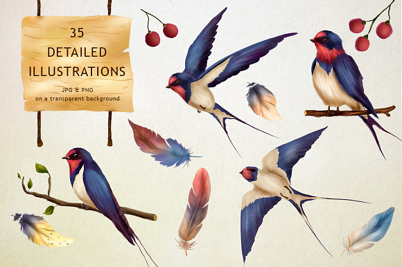 Swallow springs. Gentle graphic set. in Illustrations - product preview 1