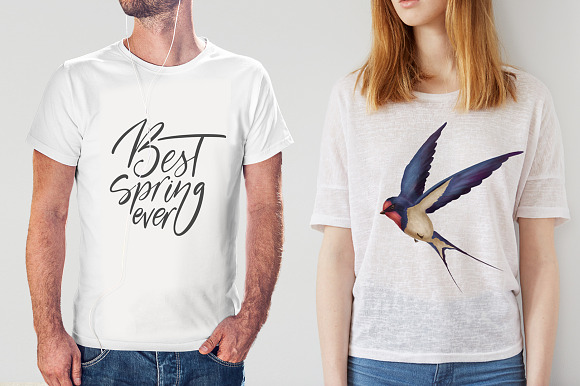 Swallow springs. Gentle graphic set. in Illustrations - product preview 6
