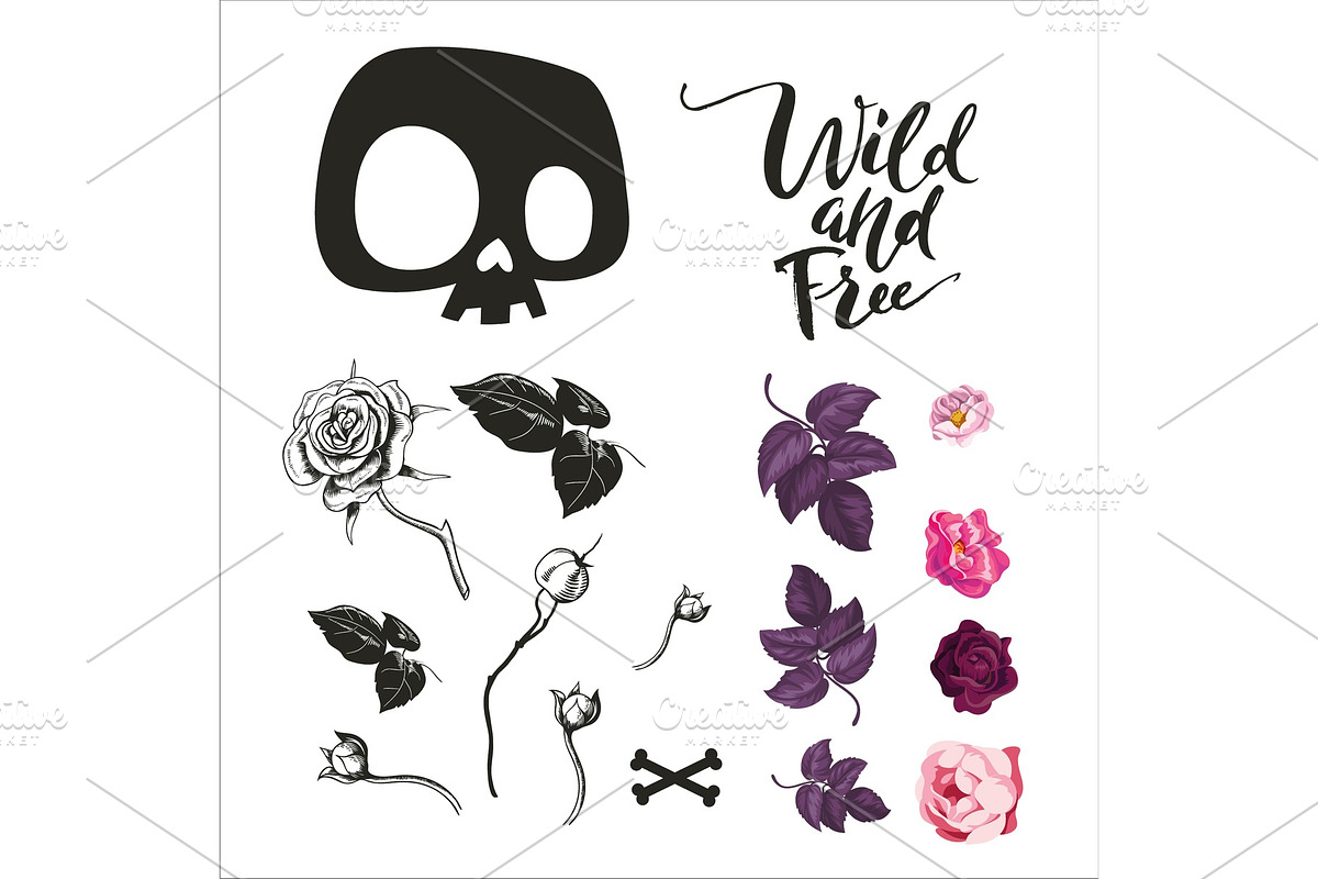 Skull And Flowers Collection in Illustrations - product preview 8