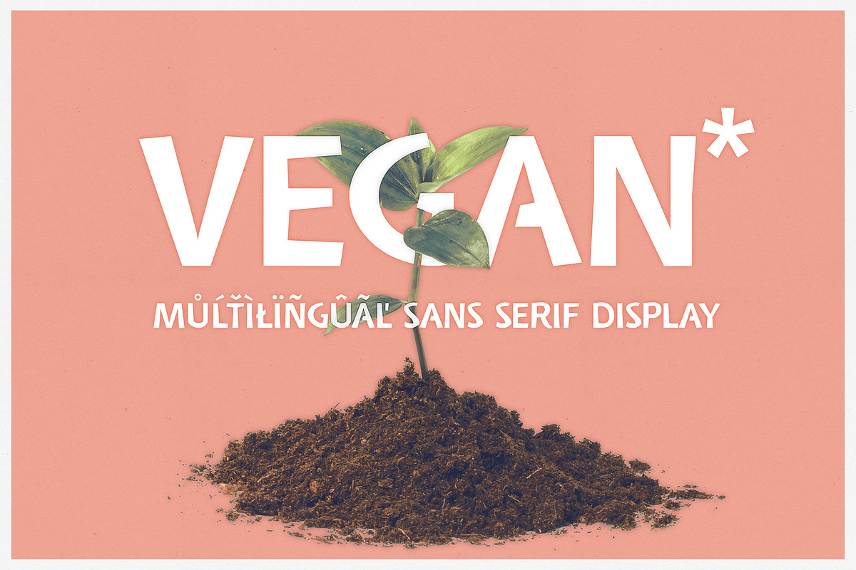 Vegan | sans serif display font in Display Fonts - product preview 8