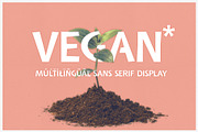 Vegan | sans serif display font