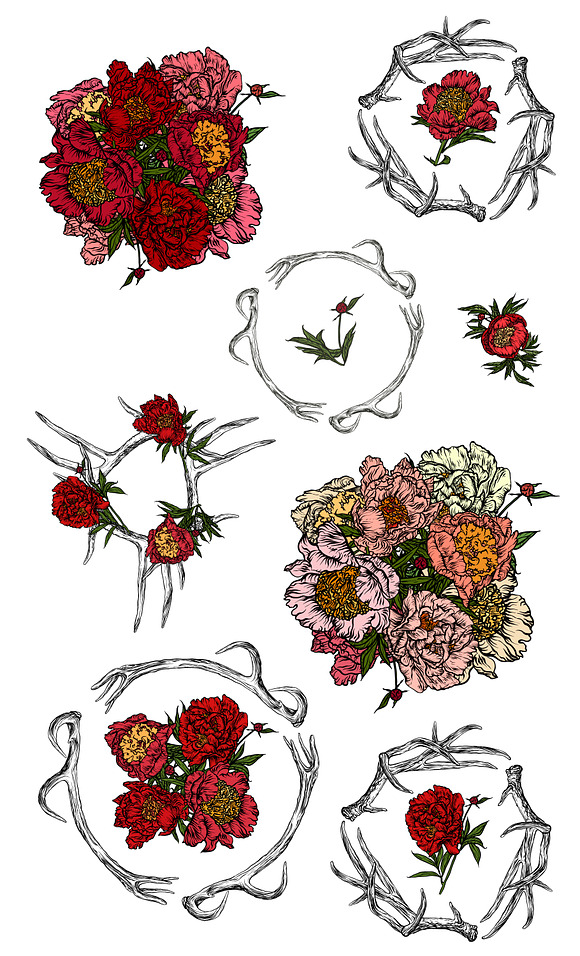 A set of peonies. in Illustrations - product preview 2
