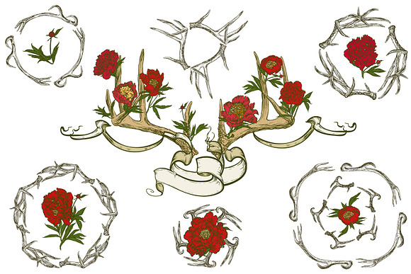 A set of peonies. in Illustrations - product preview 5