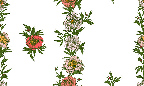 A set of peonies. in Illustrations - product preview 10