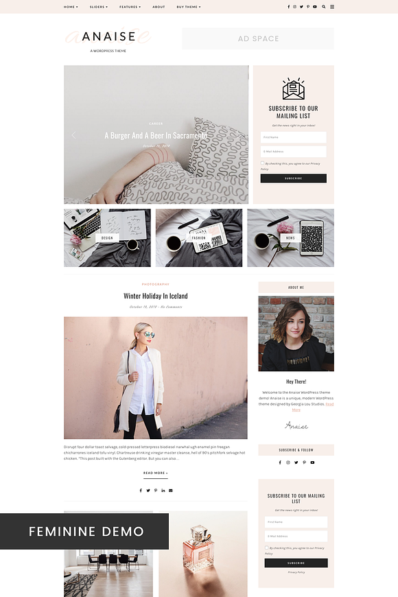 WordPress Theme, Responsive, Anaise in WordPress Blog Themes - product preview 1