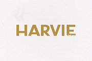 Harvie - A Bold Sans Font