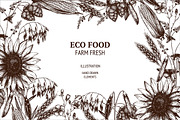 Eco plants sketch collection